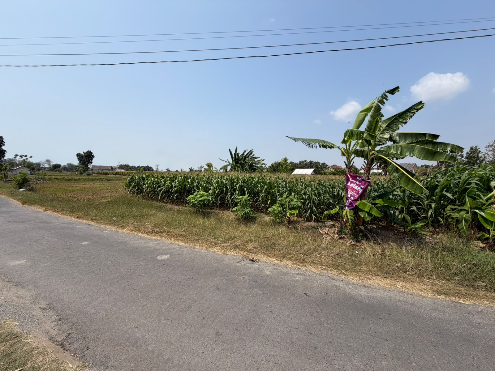 SEGERA LELANG TANAH LADANG PERTANIAN STRATEGIS - Thumbnail 3