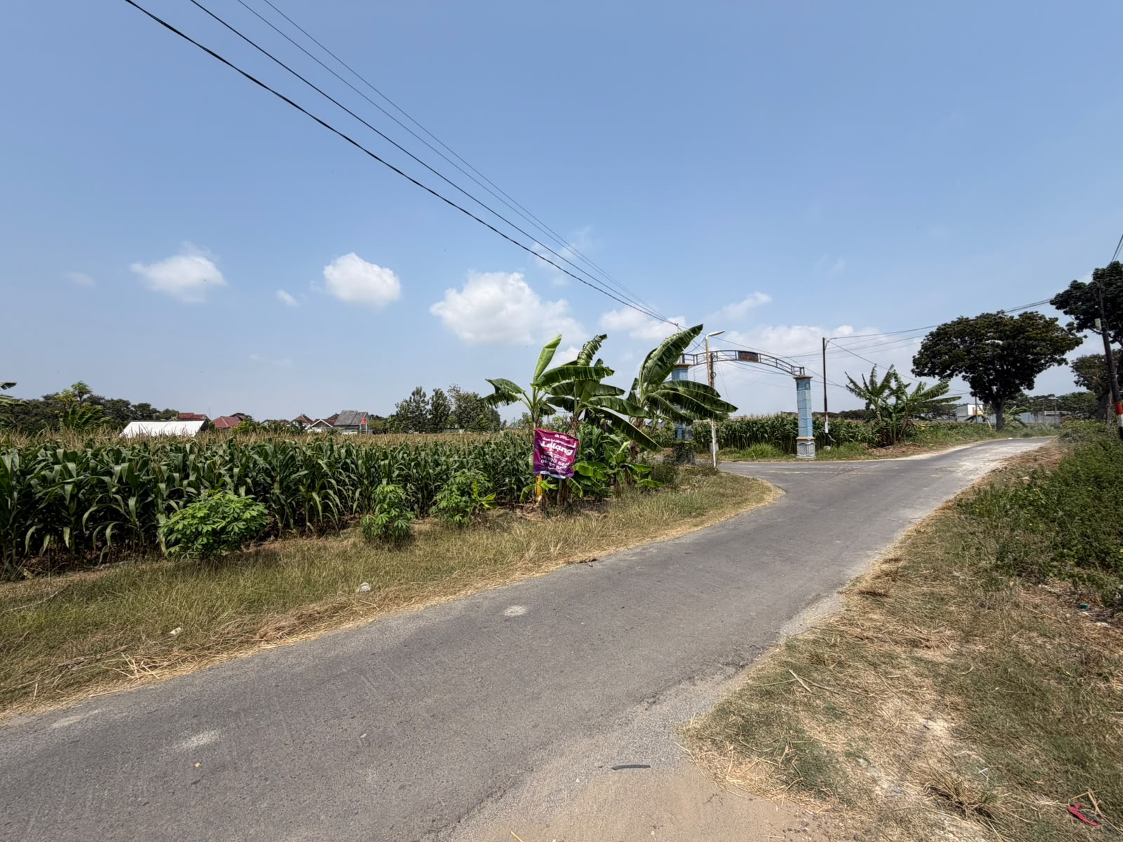 SEGERA LELANG TANAH LADANG PERTANIAN STRATEGIS - Thumbnail 5