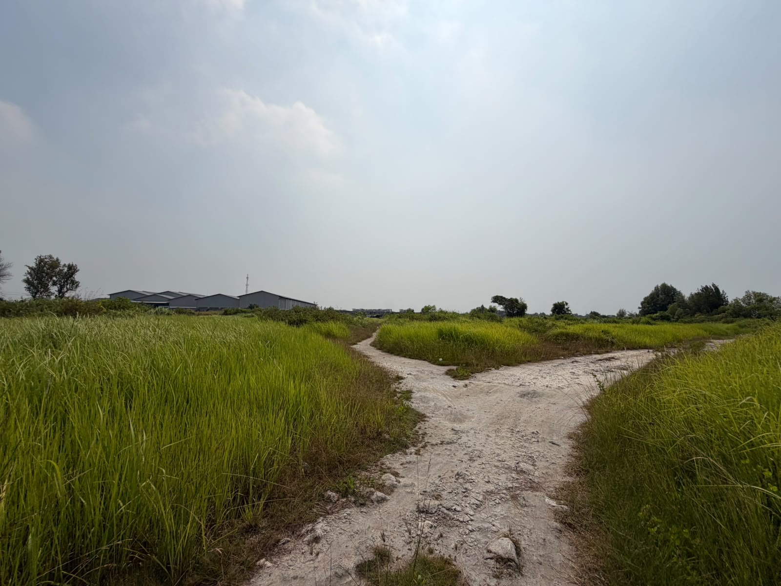 AGUNAN LELANG TANAH KOSONG LUAS