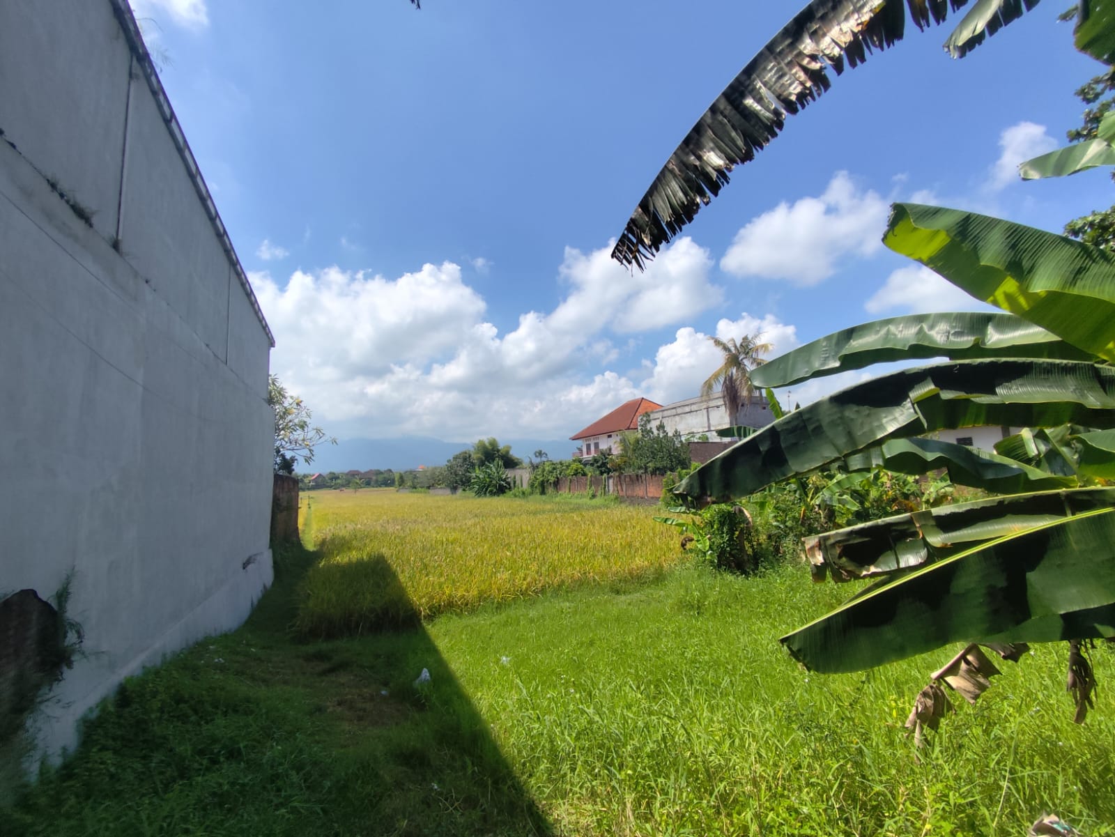 SEGERA LELANG TANAH - Thumbnail 3