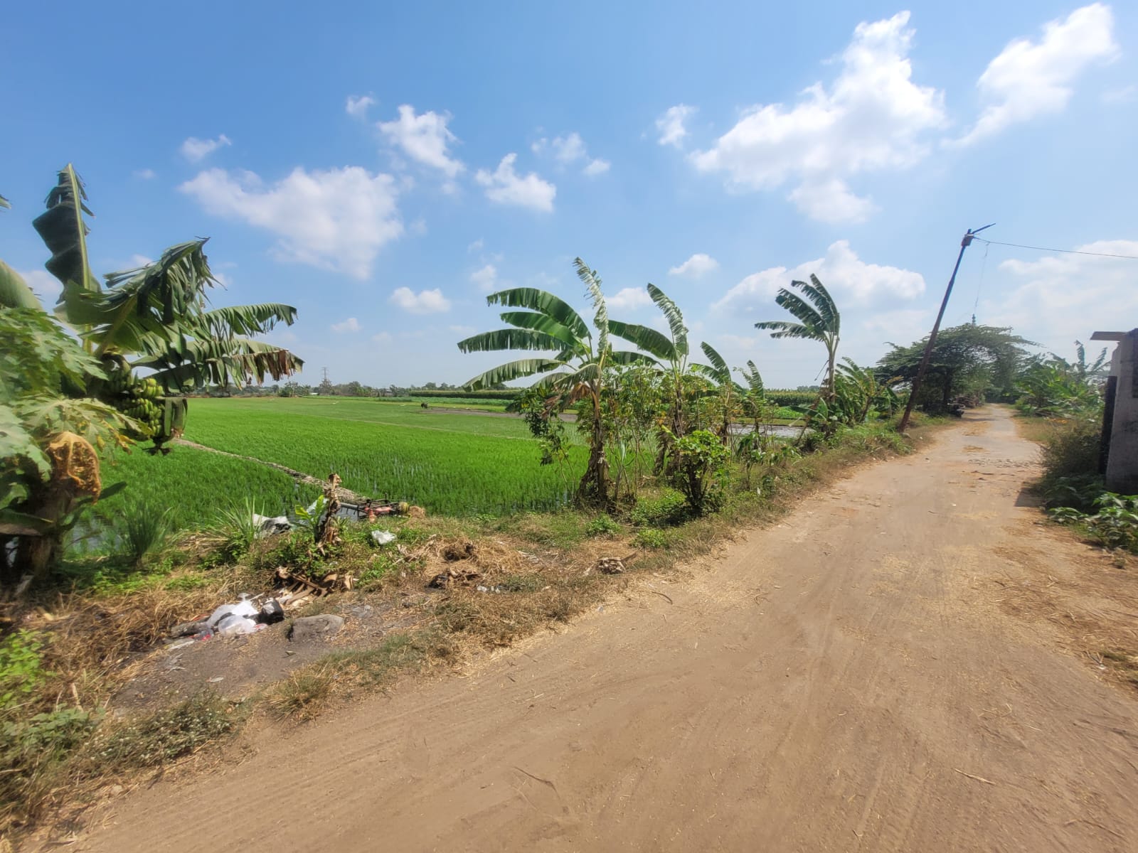 SEGERA LELANG TANAH SAWAH LUAS & STRATEGIS - Thumbnail 5