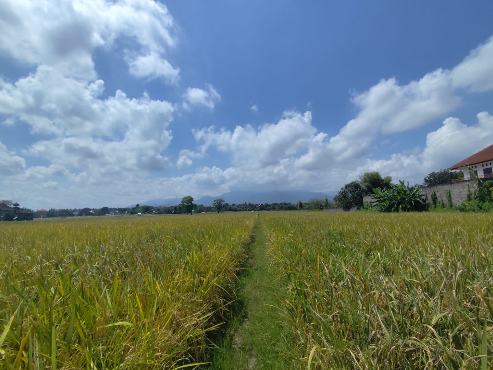 SEGERA LELANG TANAH - Thumbnail 2