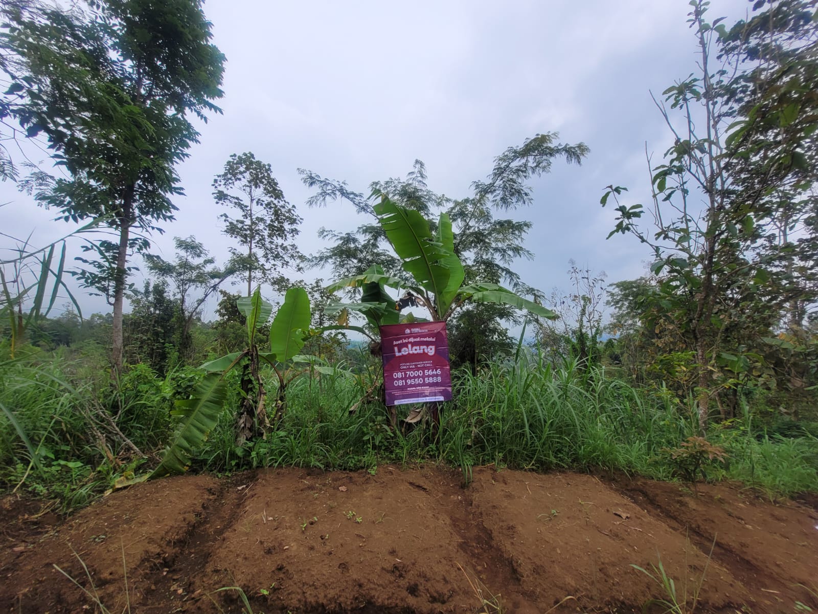 AGUNAN LELANG TANAH KOSONG