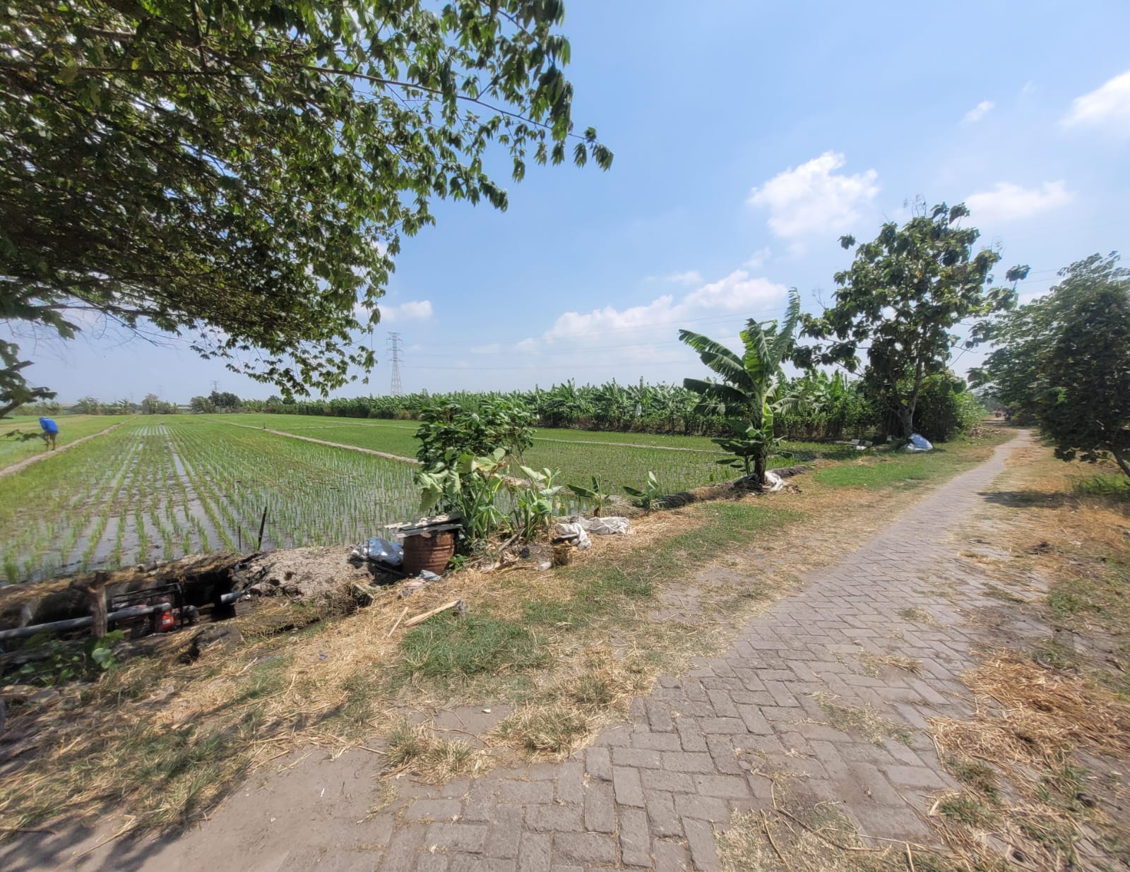 SEGERA LELANG TANAH SAWAH LUAS & STRATEGIS - Thumbnail 5